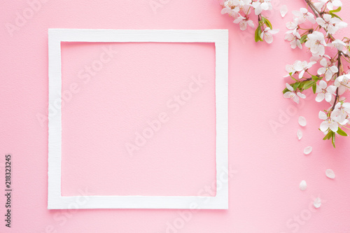 Fresh branches of cherry white blossoms with petals on pastel pink background. Soft light color. Mockup for positive ideas. Empty place for inspirational, emotional, sentimental text or quote. © fotoduets