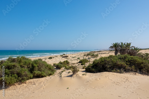 Long sandy beach called Playa Les Ortigues. Palm trees, bushes, blue sea and sky.