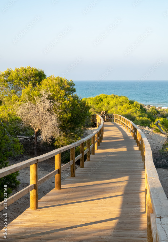 Broadwalk to ocean, trees and green bushes
