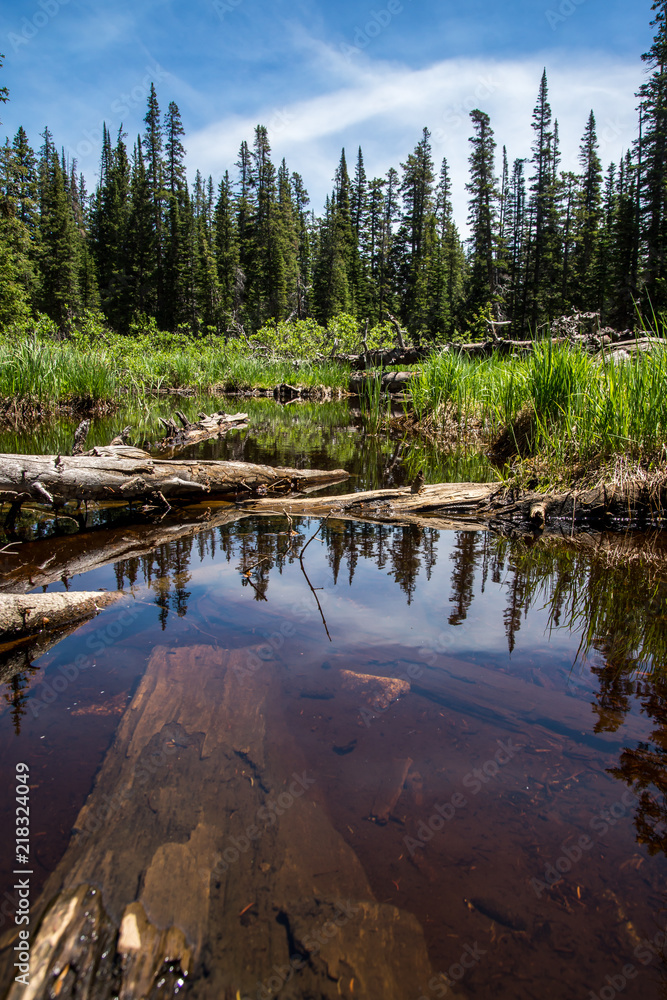 Obraz premium Alpine pond in the Rocky Mountains