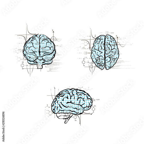 Set of technical human brains in different views, left brain functions concepts on white