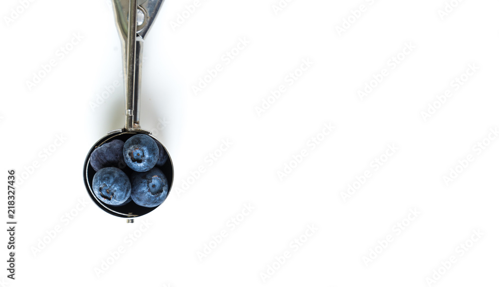 blueberry on white background. blueberry on white background.