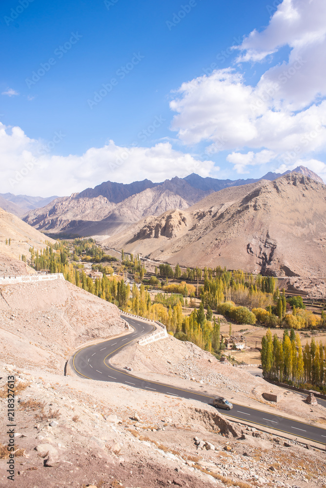 Autumn landscape in Ladakh Region, India. Valley with trees and mountains background in fall.