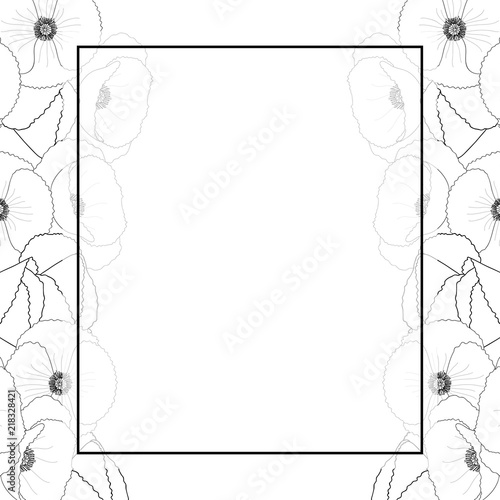 Fototapeta Naklejka Na Ścianę i Meble -  Corn Poppy Outline Banner Card Border