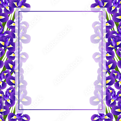 Fototapeta Naklejka Na Ścianę i Meble -  Iris Flower Banner Card Border