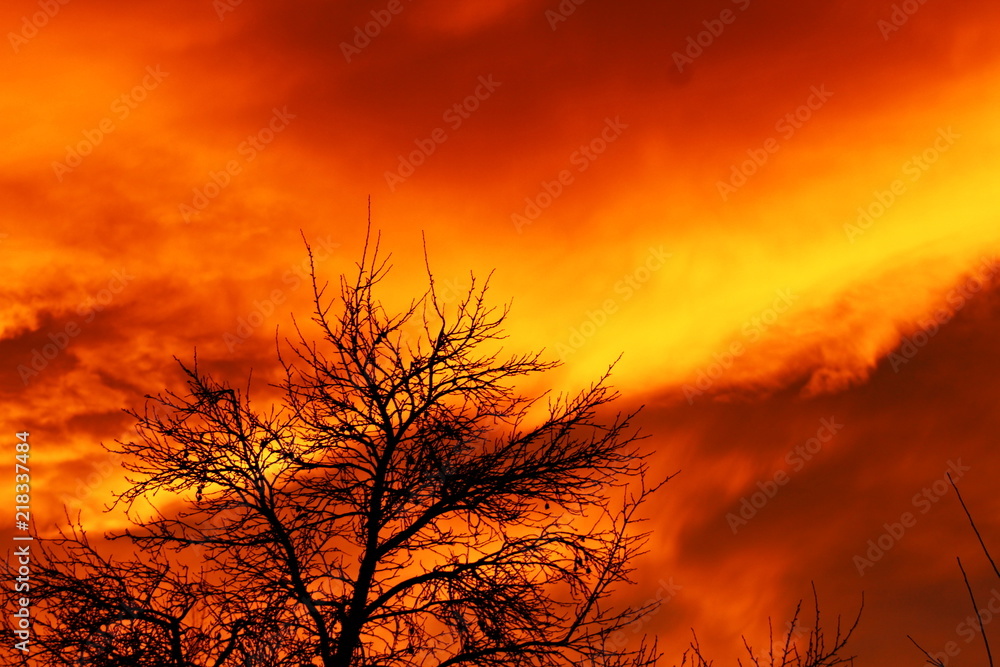 Obraz premium Sunset