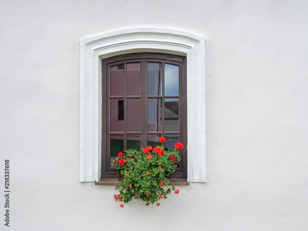 Brown wooden window with flowers in plaster white wall