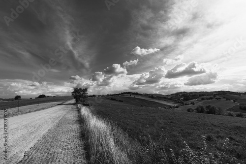 Black and white countryside landscape , sky with clouds and fields at summer