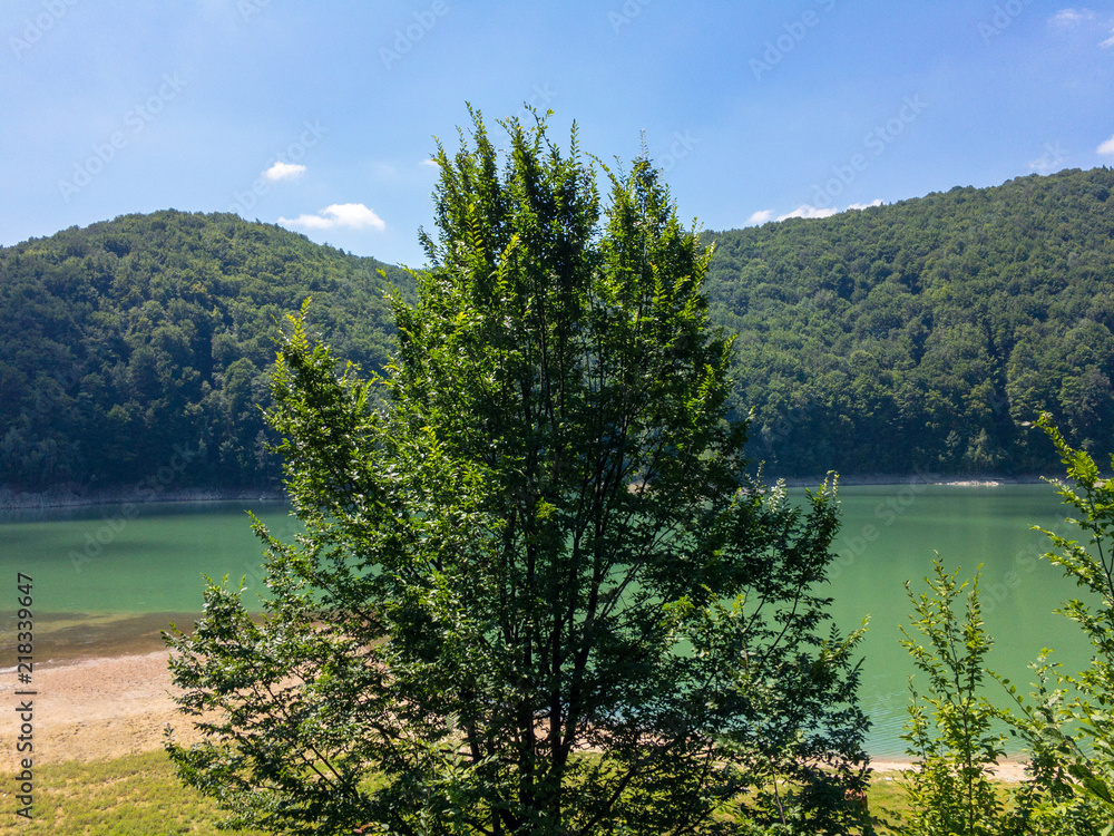 Idyllic summer landscape with clear mountain lake