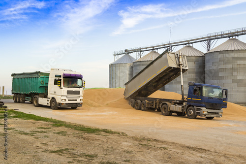 Obraz na plátne tipper truck unloading grain in a pile near a silo