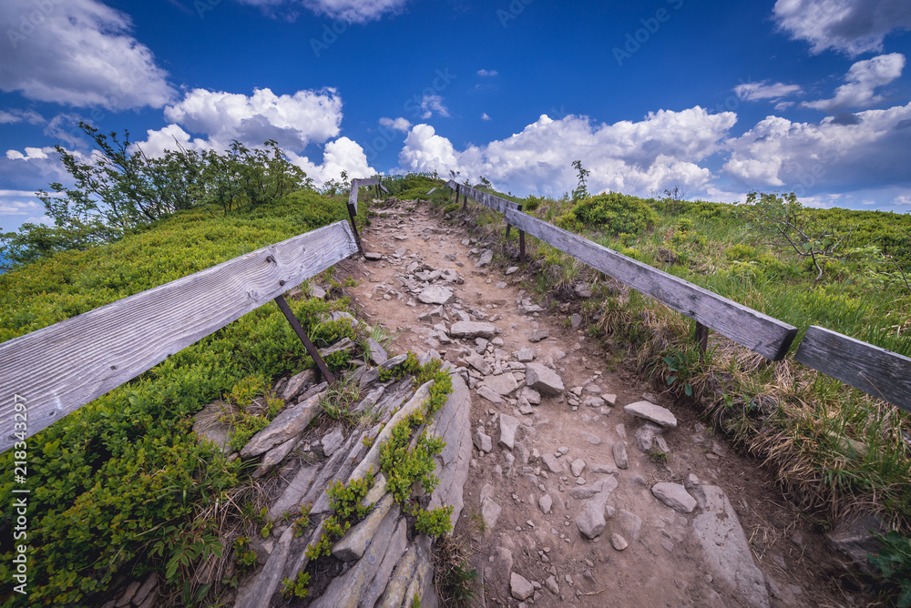 Fototapeta premium Hiking path to Osadzki Wierch mountain in Bieszczady National Park, Subcarpathian Voivodeship of Poland