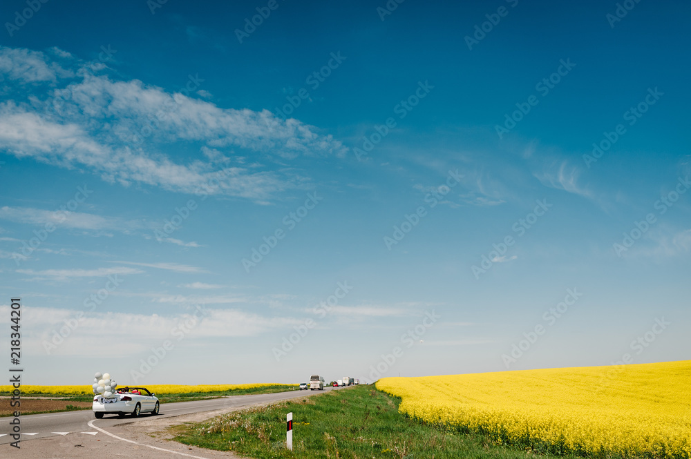 A newlywed wedding couple is driving a convertible retro car on a country straight road for their honeymoon. Way on summer field of yellow rapes flowers, canola field. Rear view. A newlywed wedding couple is driving a convertible retro car on a country straight road for their honeymoon. Way on summer field of yellow rapes flowers, canola field. Rear view.