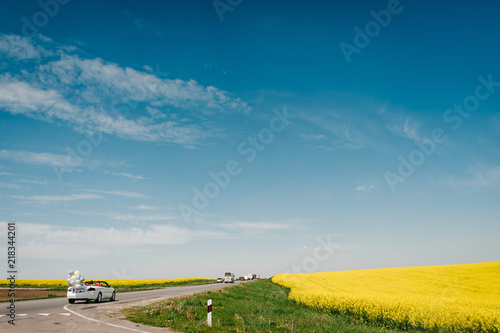 A newlywed wedding couple is driving a convertible retro car on a country straight road for their honeymoon. Way on summer field of yellow rapes flowers, canola field. Rear view.