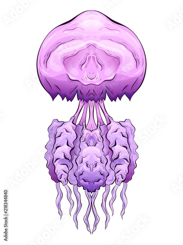 Colorful illustration of jellyfish. The object is separate from the background. Illustration for printing on T-shirts, covers, sketches of tattoos and your design.