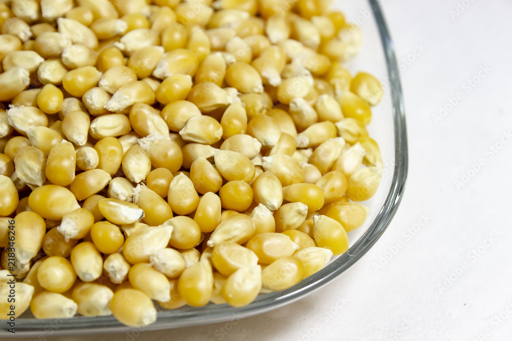 Side shoot of corn seeds in the transparent reflective cup Side shoot of corn seeds in the transparent reflective cup