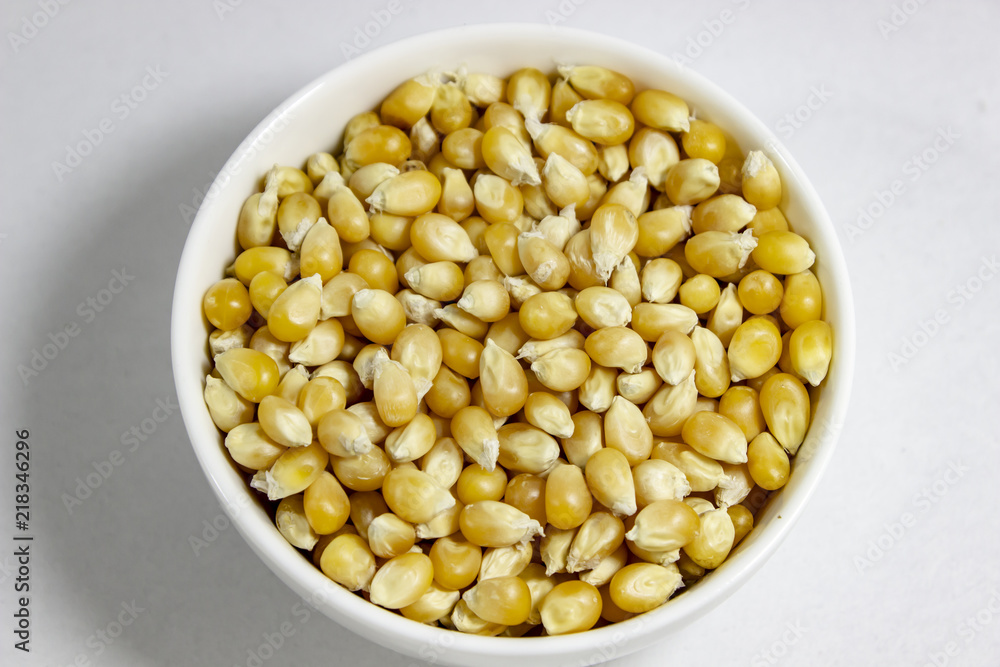Top shoot of corn seeds in the small white cup Top shoot of corn seeds in the small white cup