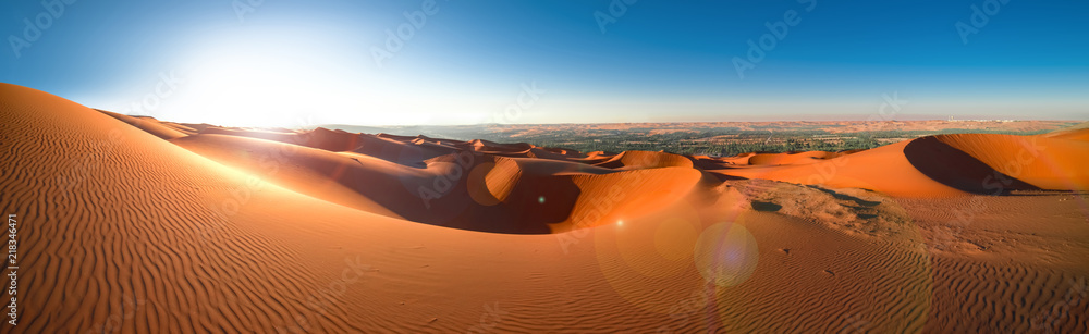 Desert Rub' al Khali, Emirates, Abu Dhabi, Liwa, Jan.2018