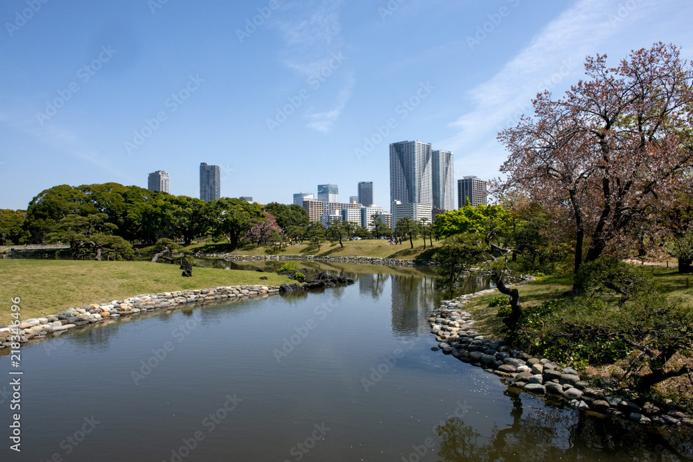 Park in Tokyo with skyscrapers in distance Park in Tokyo with skyscrapers in distance
