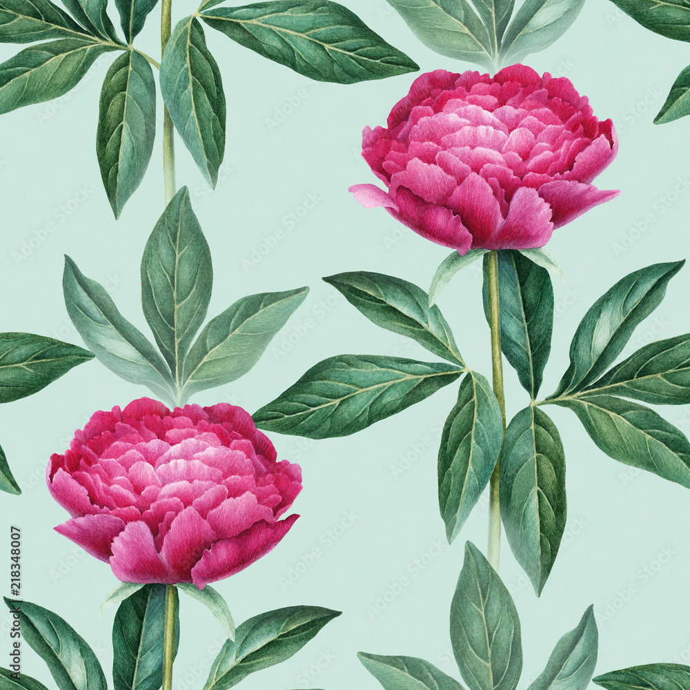 Watercolor peony flowers illustration. Seamless pattern Watercolor peony flowers illustration. Seamless pattern