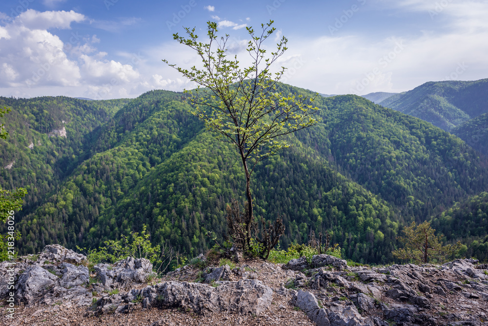 Slovak Paradise mountain range in Slovakia, view from hiking trail near Klastorisko tourist centre