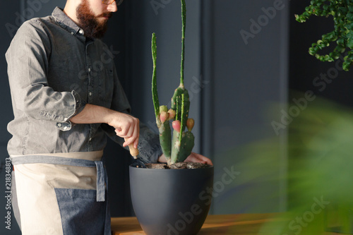 Close-up of man with gardening hobby taking care of cactus at home