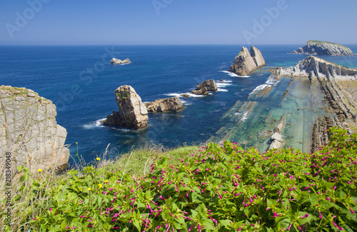 Cantabria, coastal landscape photo