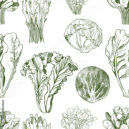 Hand drawn different kinds of lettuce on white background. Vector seamless pattern
