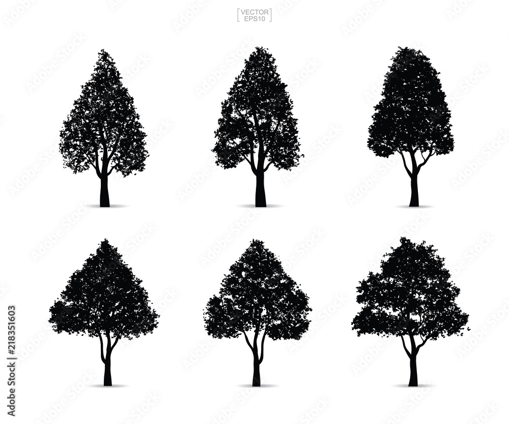 Set of tree silhouettes isolated on white background for landscape ...