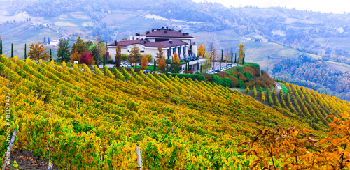 Autumn landscape with gorgeous vineyards in Piedmont. Northen Italy