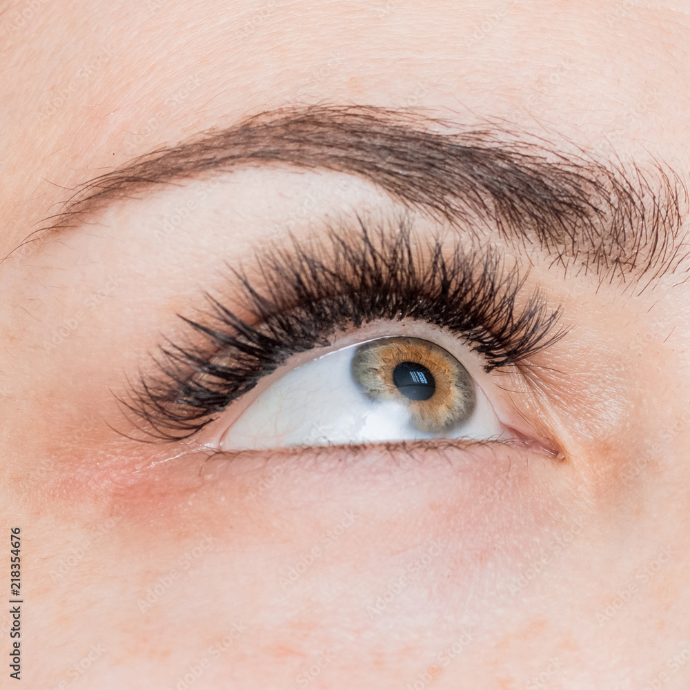 Obraz premium Kobieta oko z długimi rzęsami. Przedłużanie rzęs