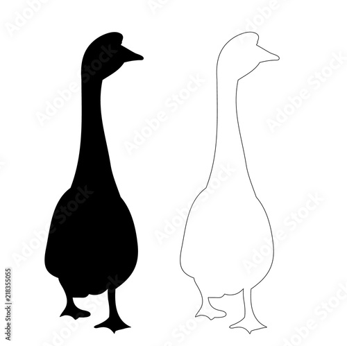  silhouette of geese and ducks