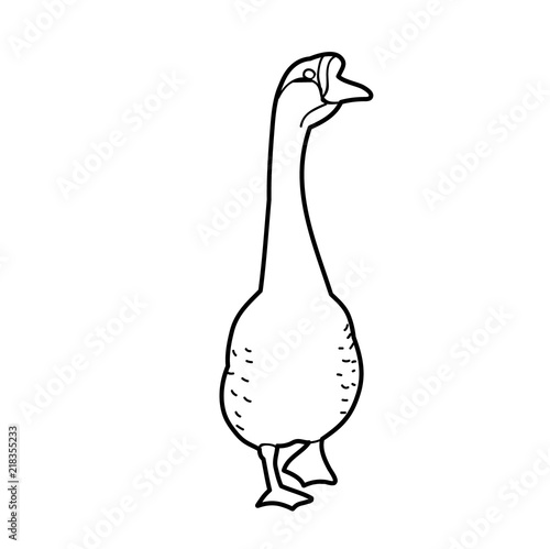  white background sketch of a goose