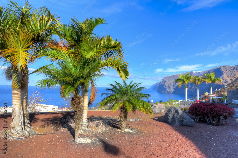 Los Gigantes palms, Tenerife, Canary islands, Spain