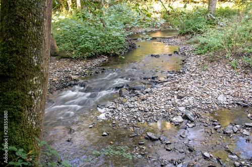 Eltzer Burgpanorama photo