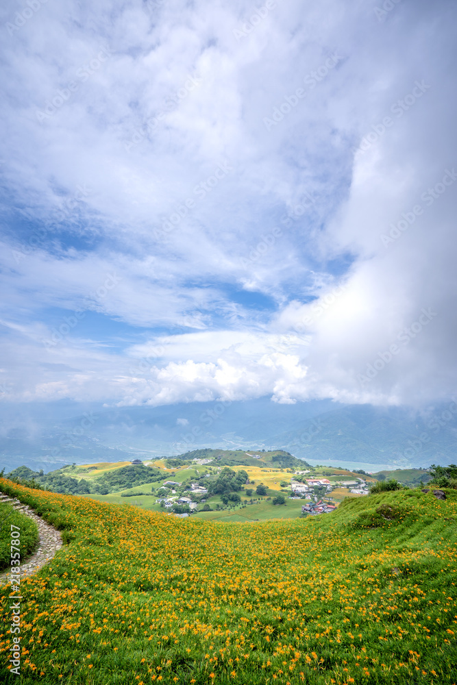 Obraz premium the daylily hillside at Lioushihdan mountain(Sixty Rock Mountain), Hualien East Rift Valley of Taiwan