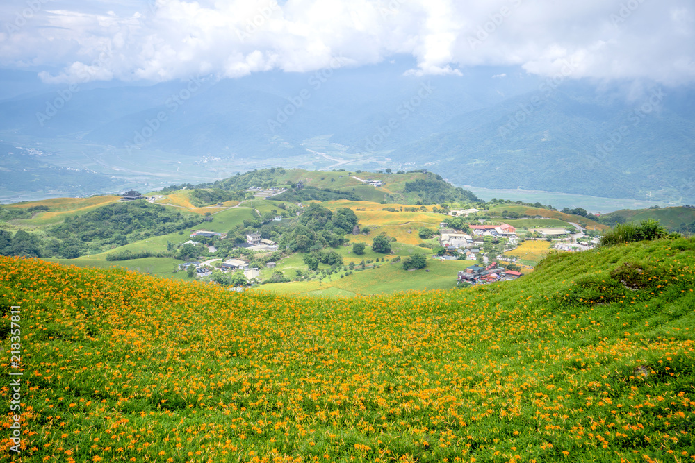 the daylily hillside at Lioushihdan mountain(Sixty Rock Mountain), Hualien East Rift Valley of Taiwan