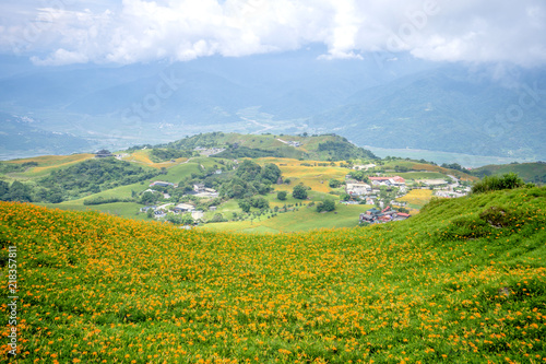 the daylily hillside at Lioushihdan mountain(Sixty Rock Mountain), Hualien East Rift Valley of Taiwan