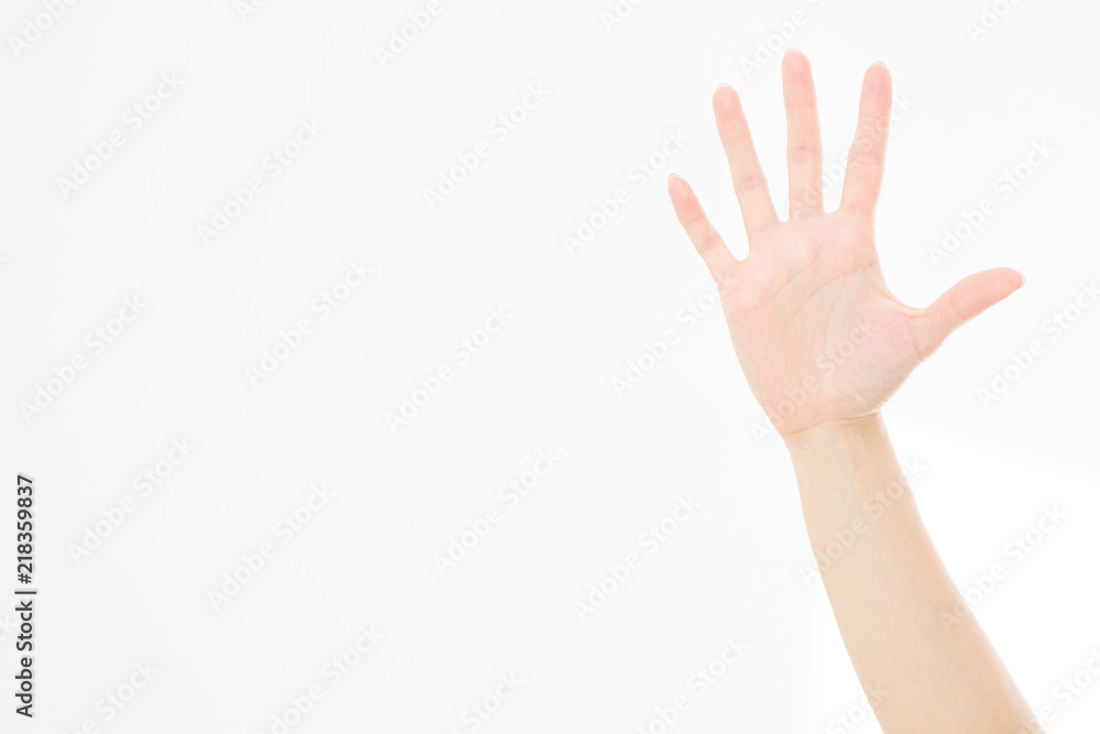 hand isolated on white.Voting hand. Mock up. Copy space. Template. Blank. hand isolated on white.Voting hand. Mock up. Copy space. Template. Blank.