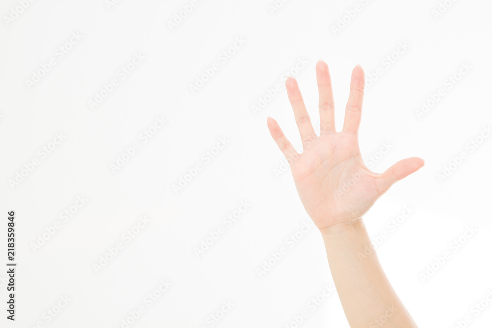 hand isolated on white.Voting hand. Mock up. Copy space. Template. Blank. hand isolated on white.Voting hand. Mock up. Copy space. Template. Blank.