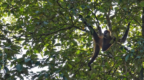 Tortuguero, Costa Rica