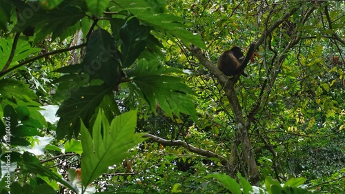 Wildlife, Costa Rica © Alberto Yoldi