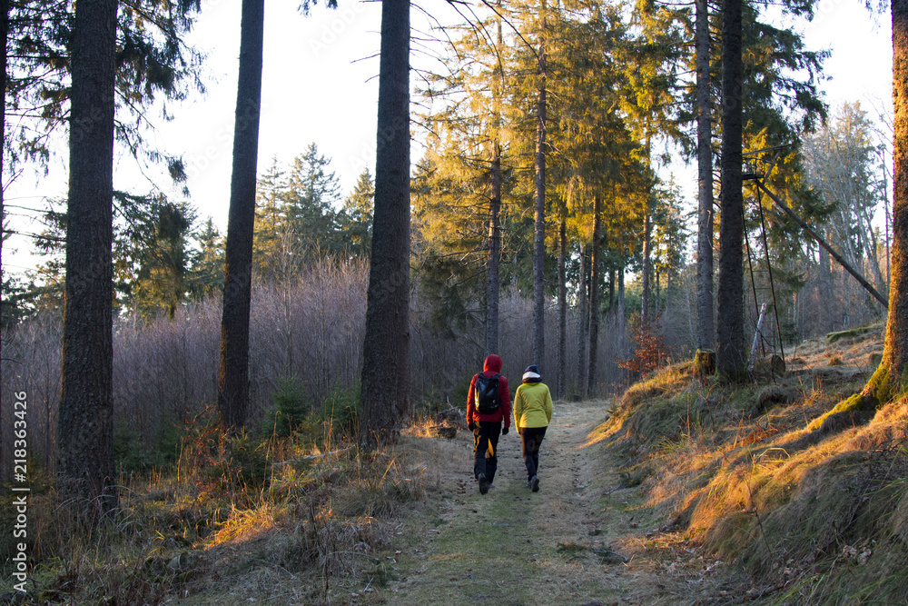 Couple effectuant une randonnée en forêt en fin de journée Couple effectuant une randonnée en forêt en fin de journée
