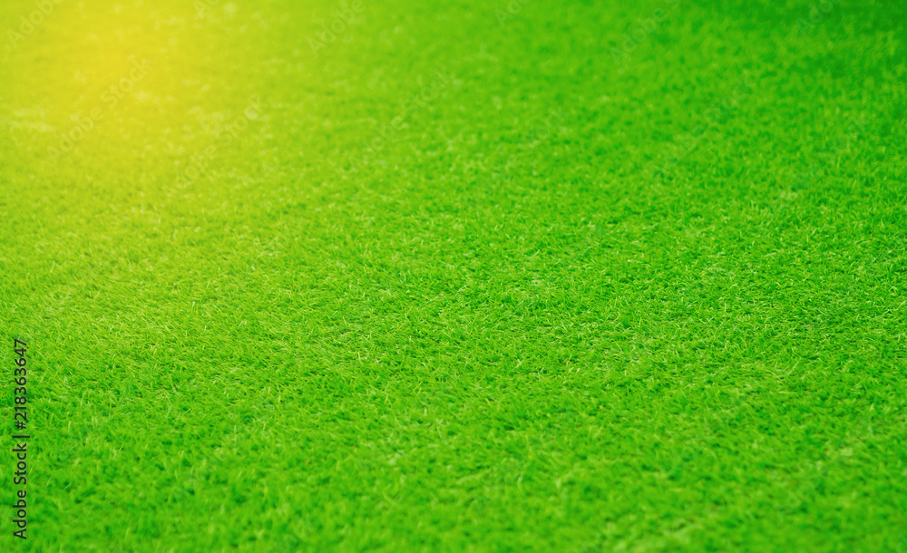 grass field background, green grass, green background