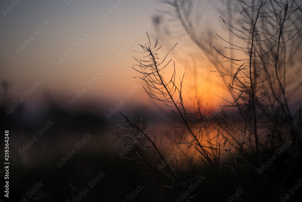 Fototapeta premium sunset