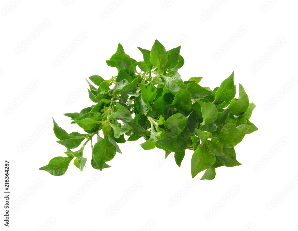 Fresh watercress isolated on white background