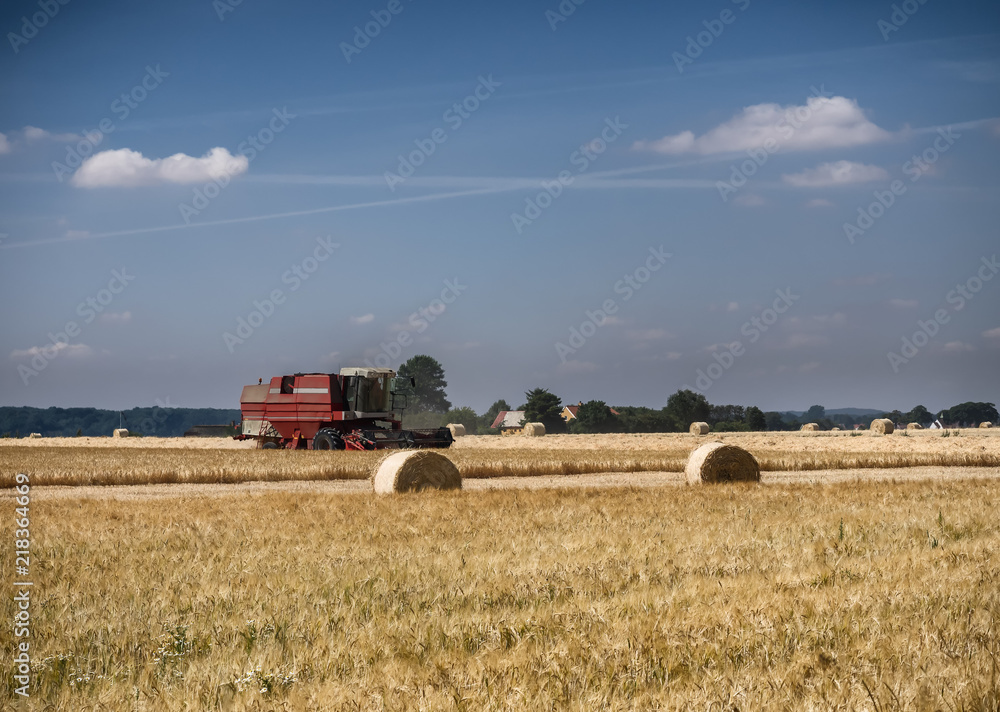 Obraz premium Harvester on a field of barley on Hjarnoe Jutland