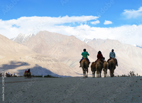 LEH LADAKH  INDIA-JUNE 24  Group of tourists are riding camels at Hundar Village in Nubra Valley