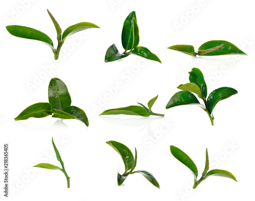 Heap of tea leaves Isolated on white background.