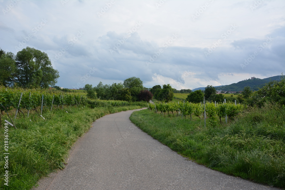 Obraz premium A path and landscape in Germany