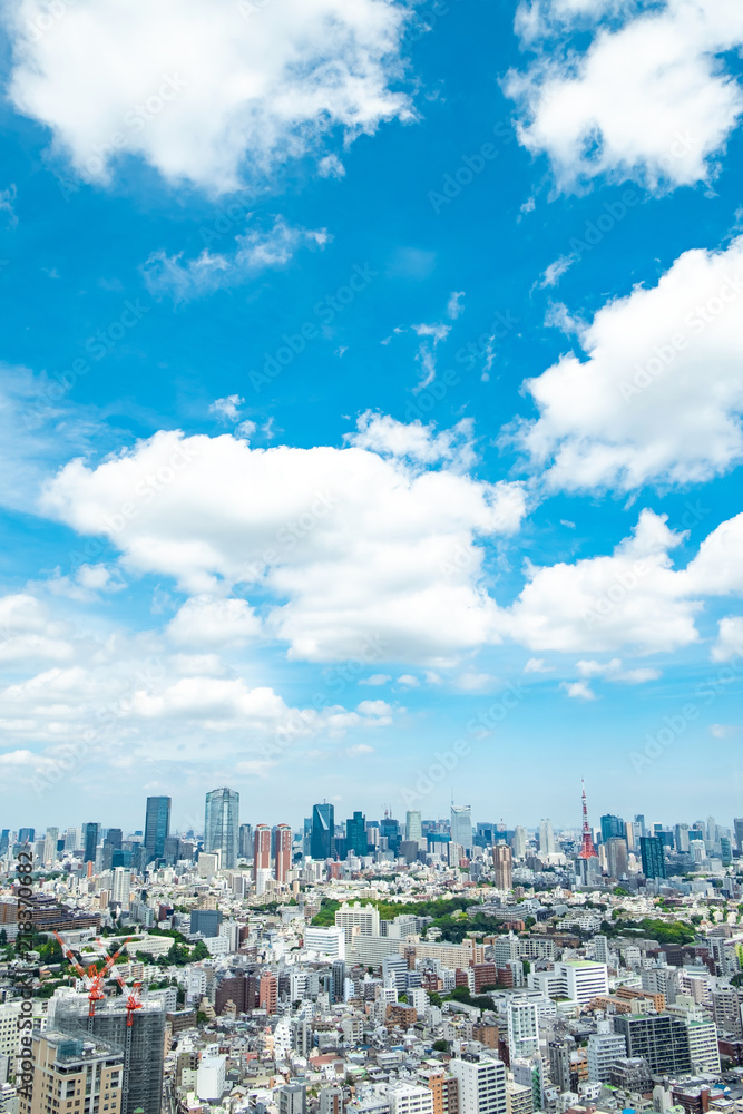 Fototapeta premium Krajobraz Tokio